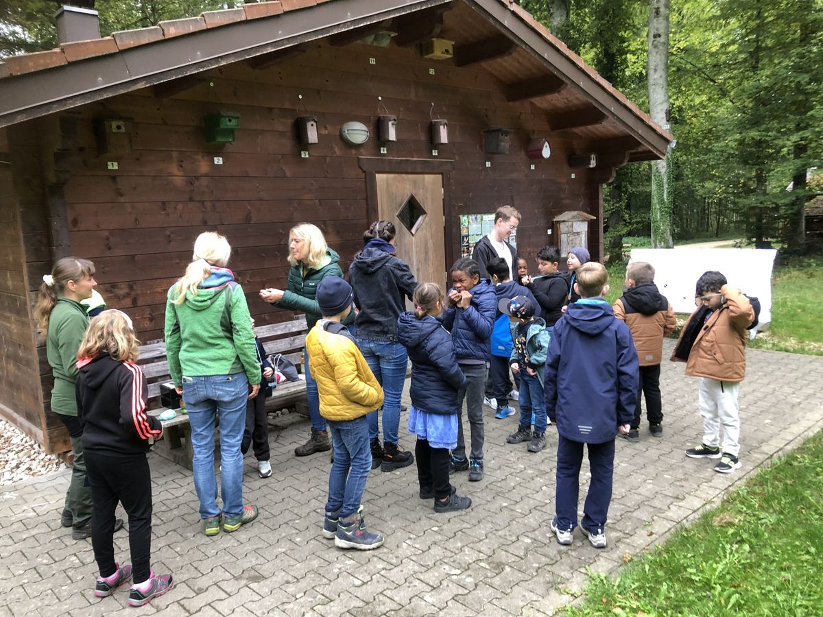 Am Waldklassenzimmer